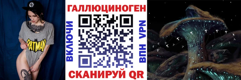 Галлюциногенные грибы Psilocybine cubensis  Оленегорск 
